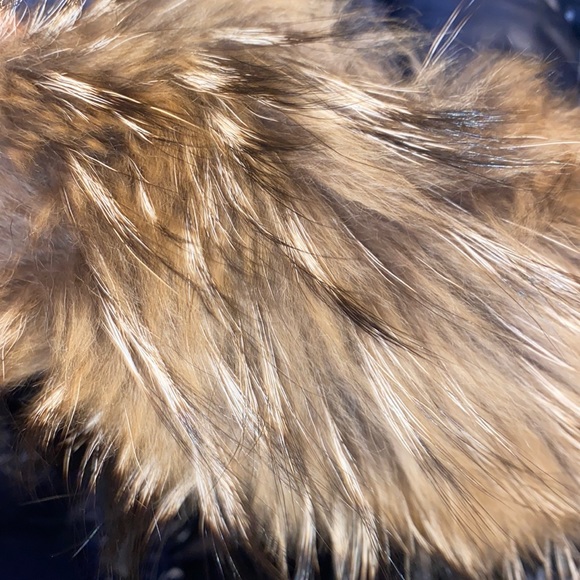 Sam. Puffer Coat - Picture 7 of 8